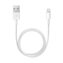 USB Дата-кабель Lighting для зарядки и синхронизации iPhone/iPad APPLE (MD818ZM/A) 1М (original)