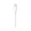USB Дата-кабель Lighting для зарядки и синхронизации iPhone/iPad APPLE (MD818ZM/A) 1М (original)