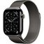 Apple Watch Series 11 LTE 42 мм (титановый корпус, природный/сланец, миланская петля)