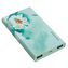 Портативное зарядное устройство BOROFONE 13000 mAh BT1 (зеленый)